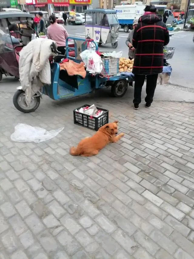 开封市北郊区集贸市场