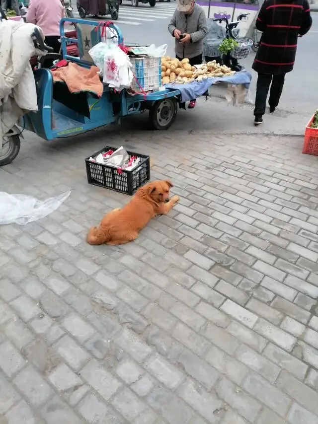 开封市北郊区集贸市场