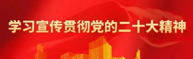 补链强链!一季度土地市场“开门红”持续发力 橡胶深加工产业实现新突破