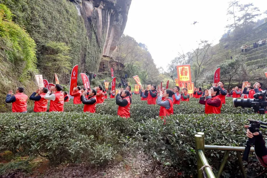 从喊山到喊市,当务之急是为营销难破局