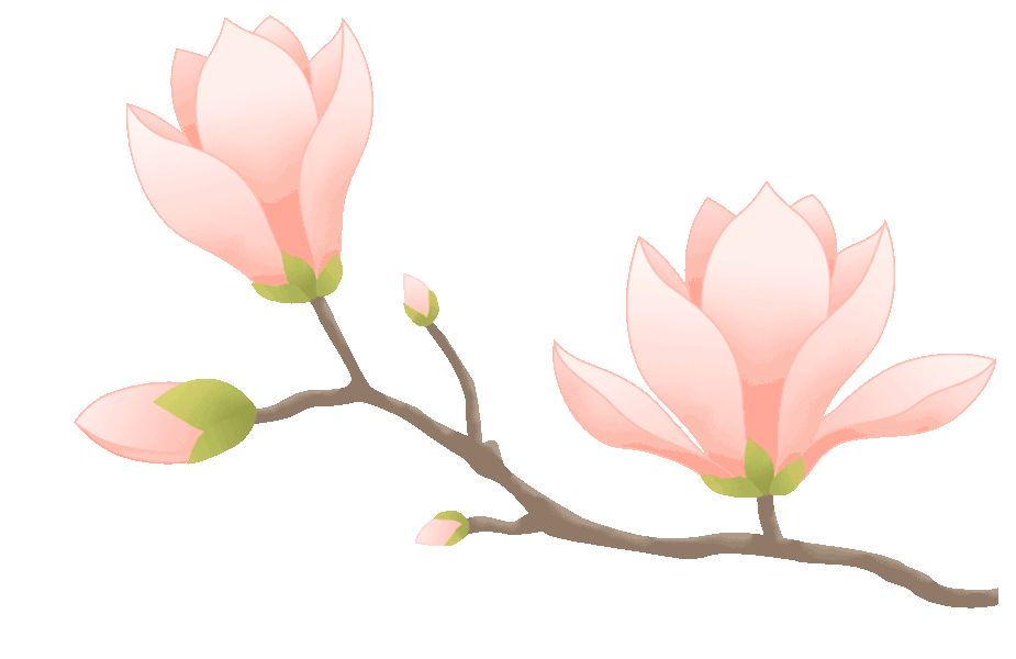 2024年优秀学生事迹——23网络营销与直播电商班黄碧莹