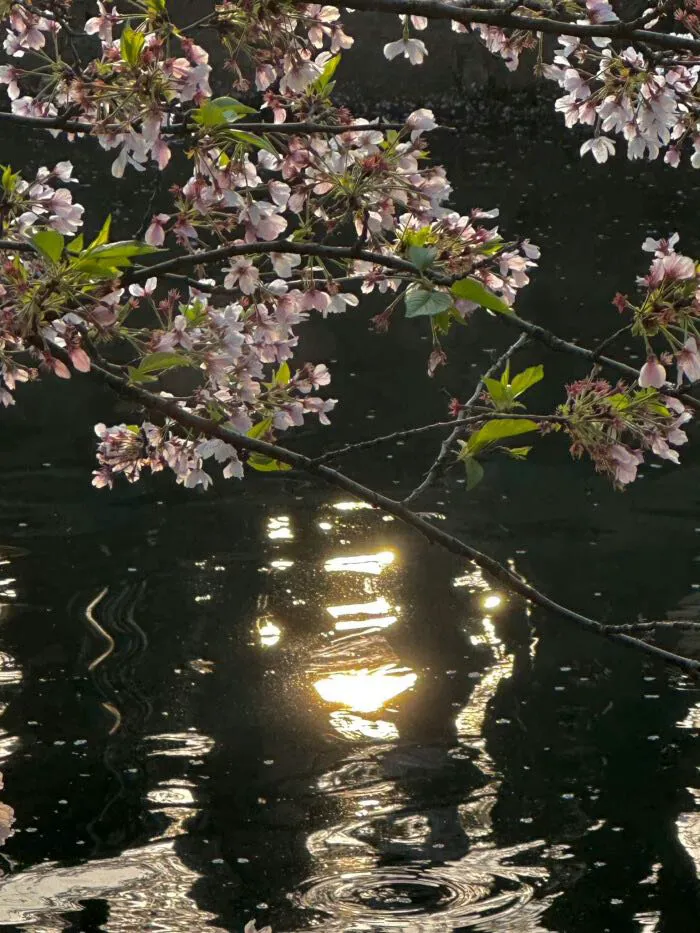 大跌不言弃,静待市场回归