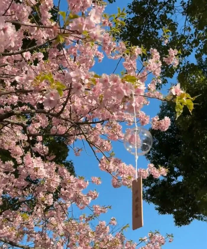大跌不言弃,静待市场回归