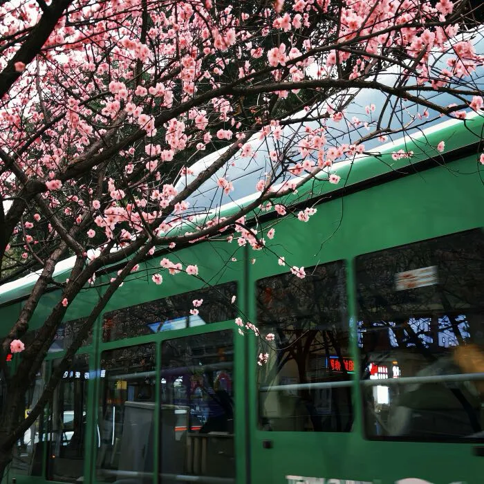 大跌不言弃,静待市场回归