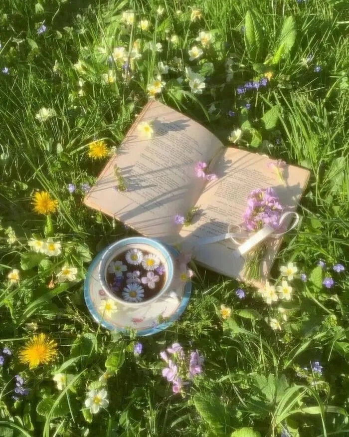 大跌不言弃,静待市场回归