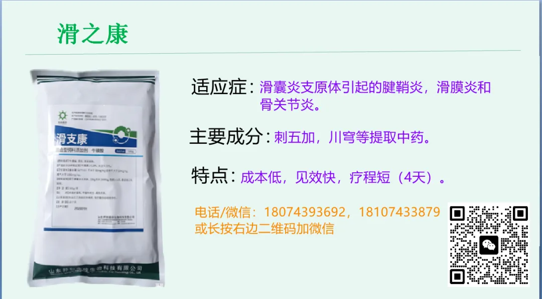 3月24日:现货市场风平浪静,金融市场血流成河