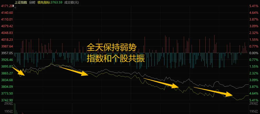 3月23日市场解析及领涨概念
