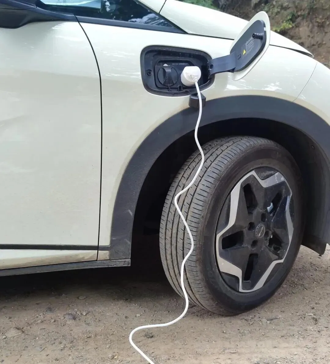 比亚迪超越丰田大众,拿下乌克兰市场年度销冠!