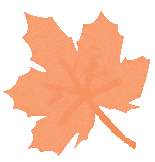 【智源纪-全环境立德树人】跳蚤小市场,成长大体验——智源小学“跳蚤”开市啦!