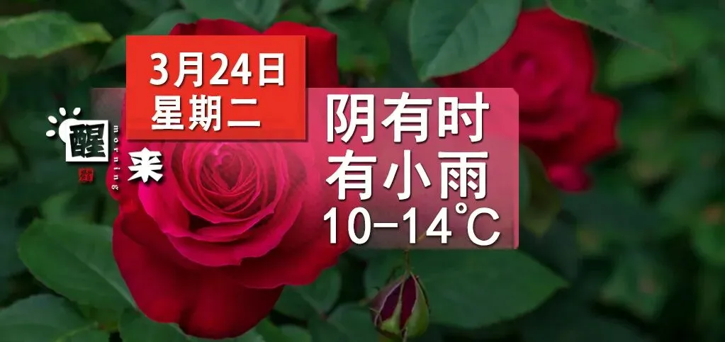 醒来!降温!上海市民赏花一包气!沪老牌市场爆火!老年人营养攻略!12家平台被约谈!邻居纠纷装9个摄像头互拍!家长为孩子出气暴打2岁娃
