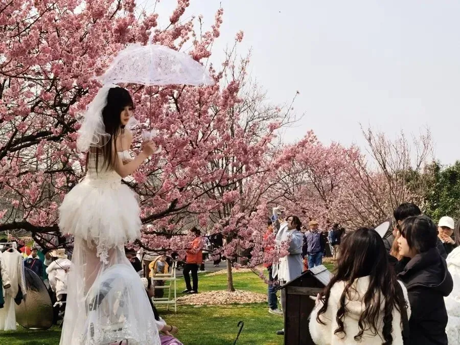醒来!降温!上海市民赏花一包气!沪老牌市场爆火!老年人营养攻略!12家平台被约谈!邻居纠纷装9个摄像头互拍!家长为孩子出气暴打2岁娃