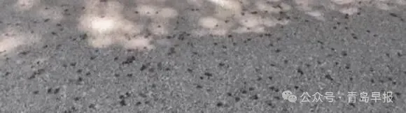 建设公共停车位、运动场地、农贸市场、文化活动中心……青岛这两处地块控规调整