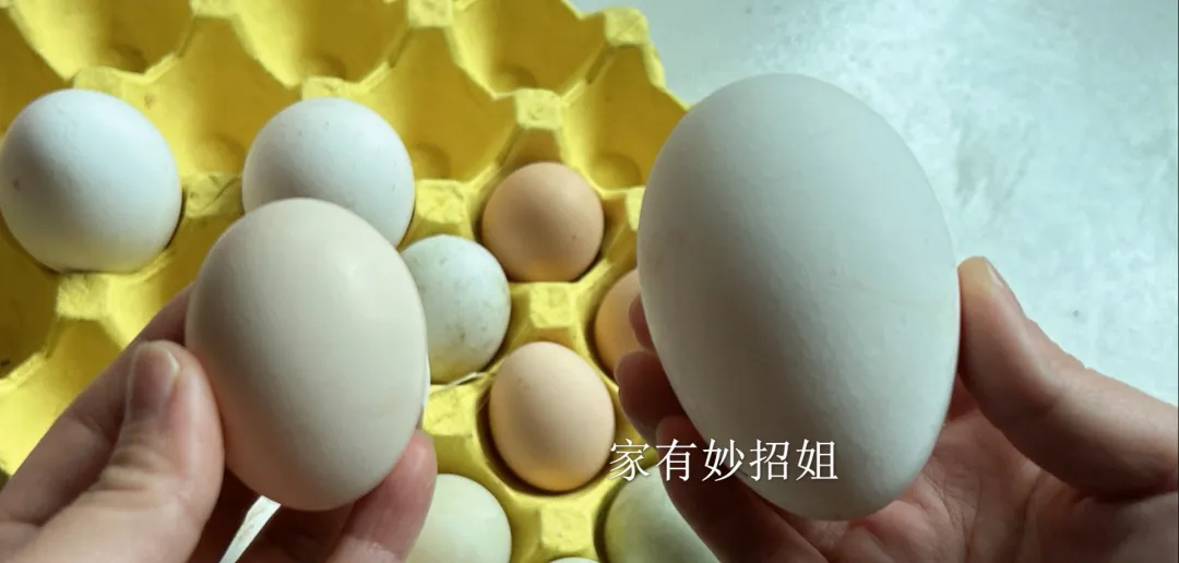 鹅蛋市场上为什么这么稀罕?卖价高、吃的人少,这些原因你可能没听说过