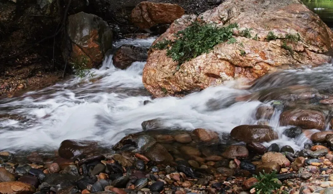 3000 亿包装水市场杀出一匹黑马!「陶小溪」借瓷都底蕴,成功打出差异化!