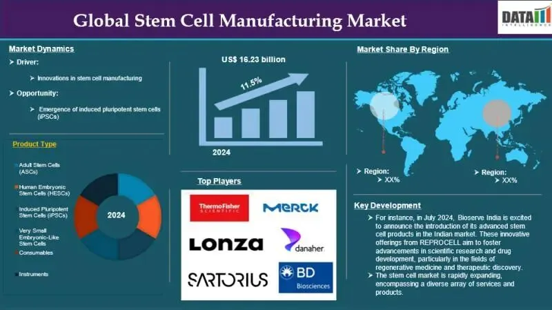 全球干细胞市场到2032年规模将达到404亿美元,2026年需求激增!