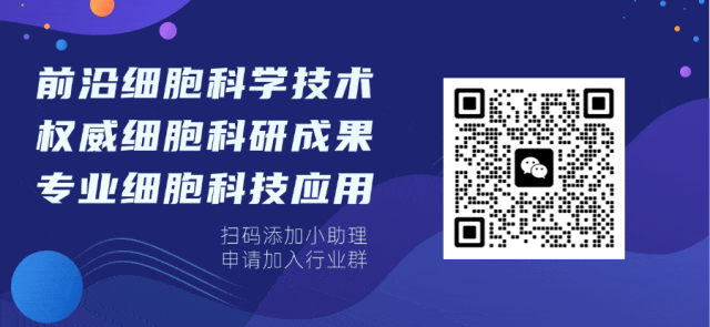 全球干细胞市场到2032年规模将达到404亿美元,2026年需求激增!