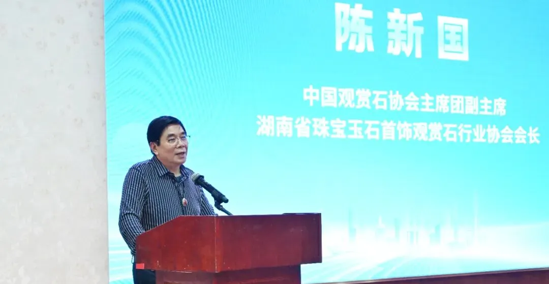 2025铂金区域市场交流会长沙站圆满收官