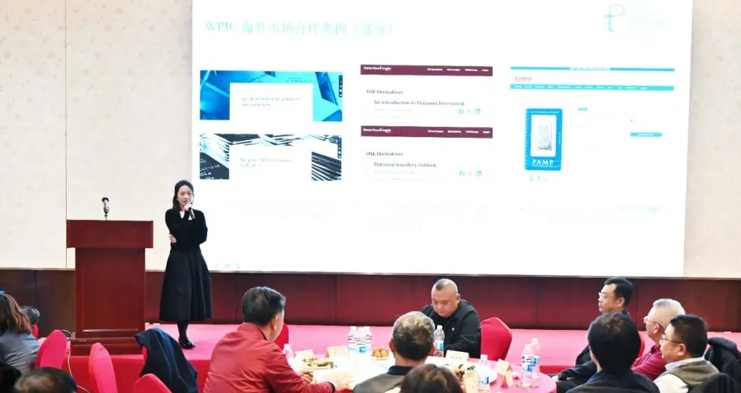 2025铂金区域市场交流会长沙站圆满收官