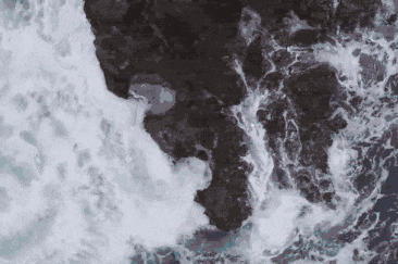 崩了,海参市场爆雷了!