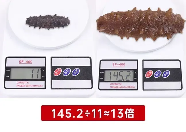 崩了,海参市场爆雷了!