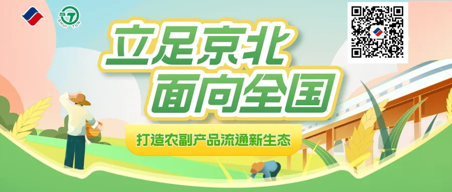 市场每日商品价格