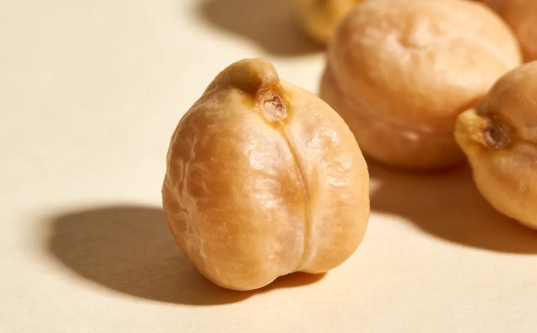 “超级食物”鹰嘴豆,是营销骗局还是营养之王?