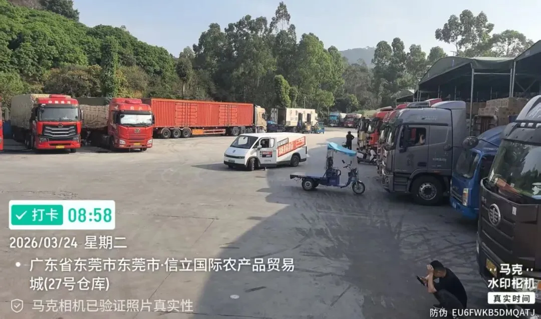 东莞信立市场鸡蛋 2026年 03月 24 日报价 欢迎关注(微信公众号)