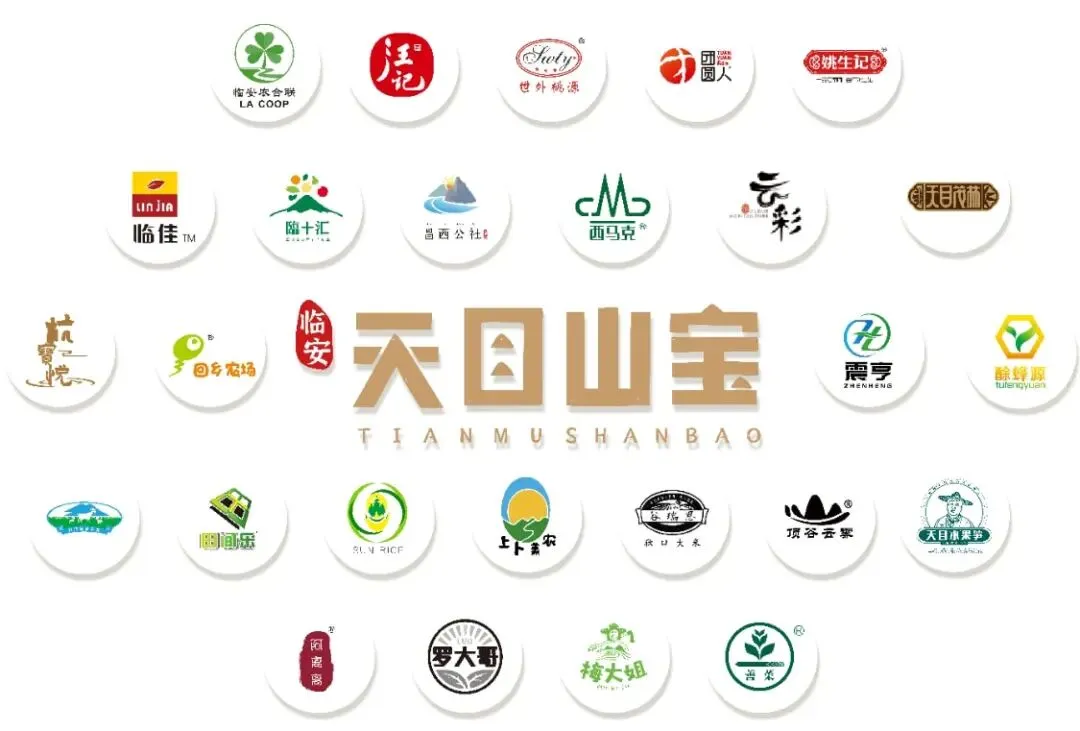 地方依恋视角下区域品牌营销策略——以天目山宝为例