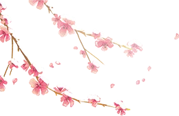 市场监督管理总局直属单位关于展开、化学检验员、食品农产品检验员、无损检测员、计量校准员职业等级技能评定 ,证书官网可查、全国通用