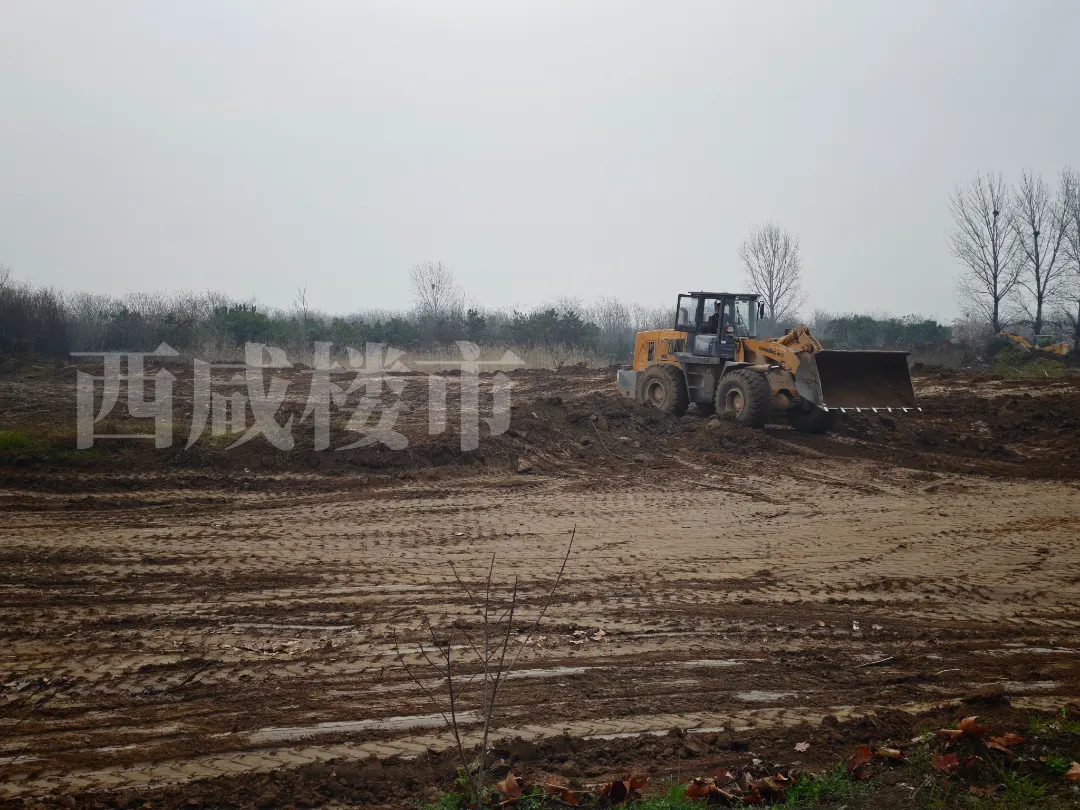 市场快讯丨西工大沣西校区有新消息!