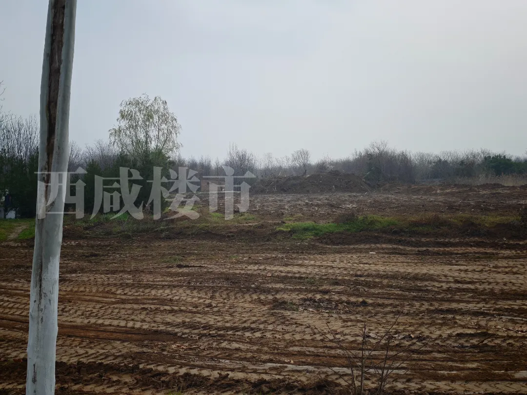 市场快讯丨西工大沣西校区有新消息!