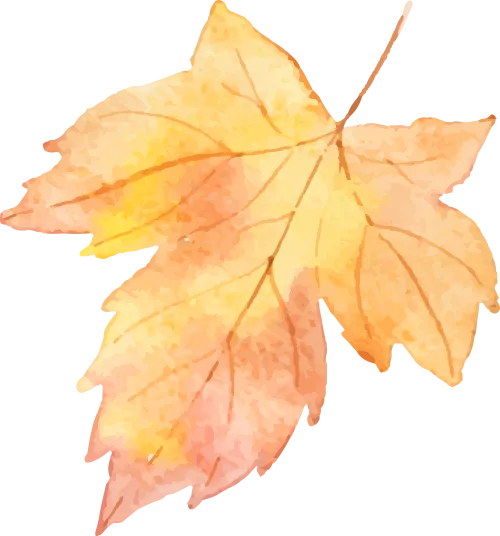 新媒体国际营销项目班来啦