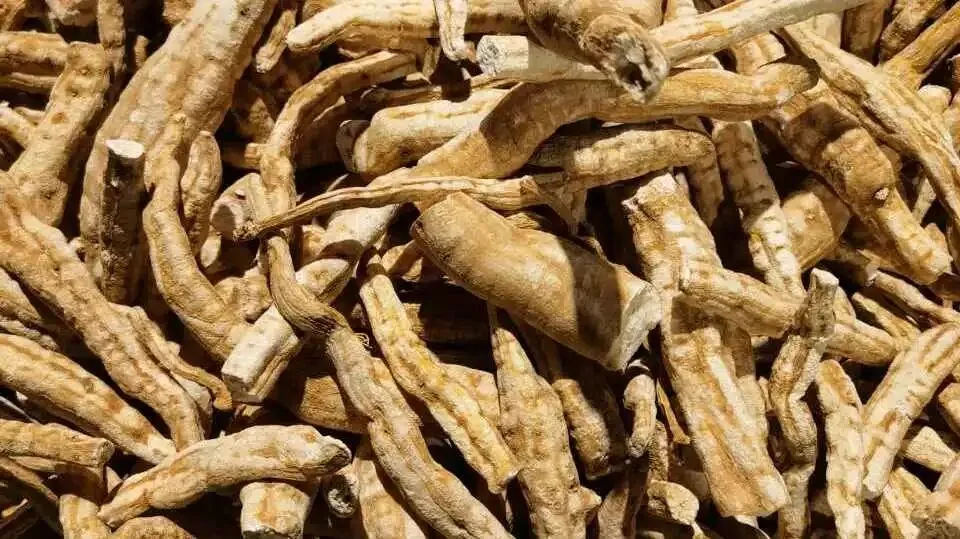 安国地产药材市场行情(3月24日)