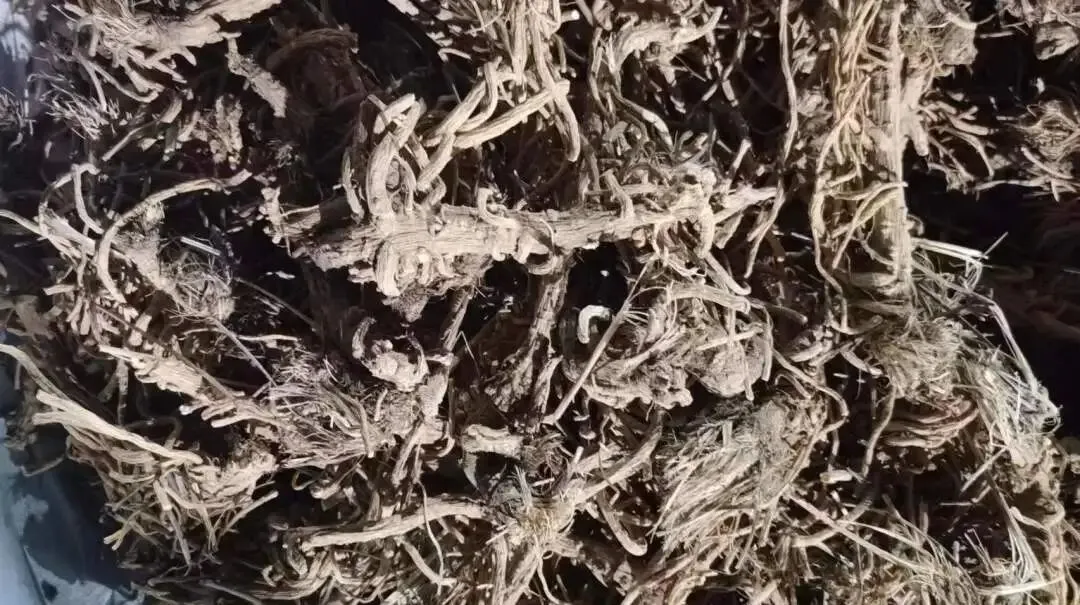 安国地产药材市场行情(3月24日)