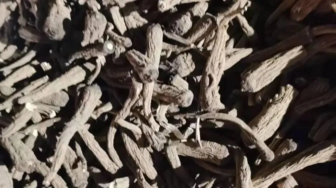 安国地产药材市场行情(3月24日)