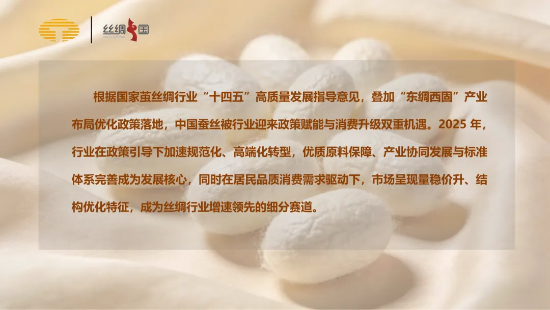 行业报告|中国蚕丝被市场分析简报(2025)