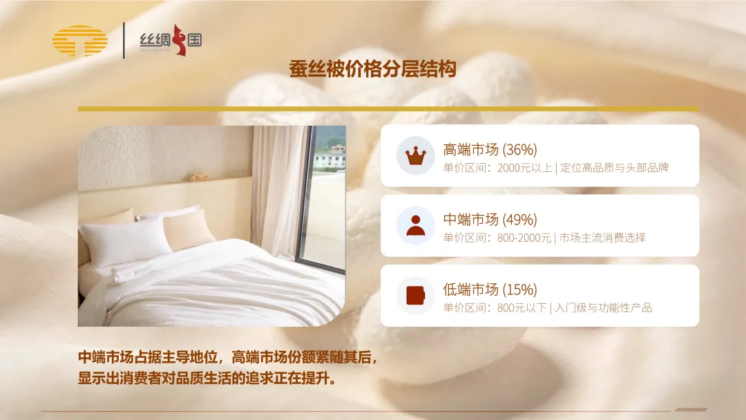 行业报告|中国蚕丝被市场分析简报(2025)