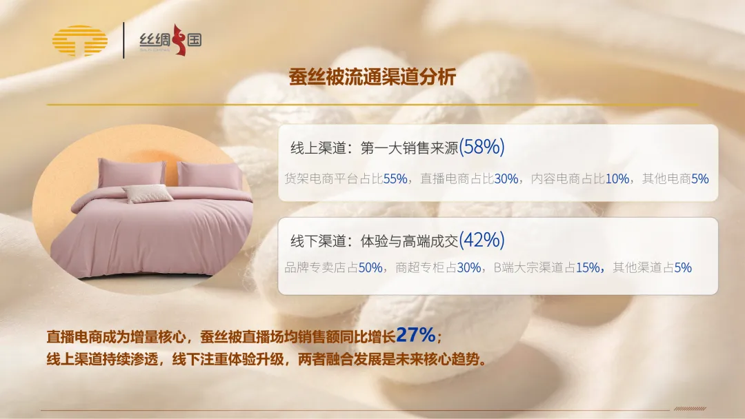 行业报告|中国蚕丝被市场分析简报(2025)