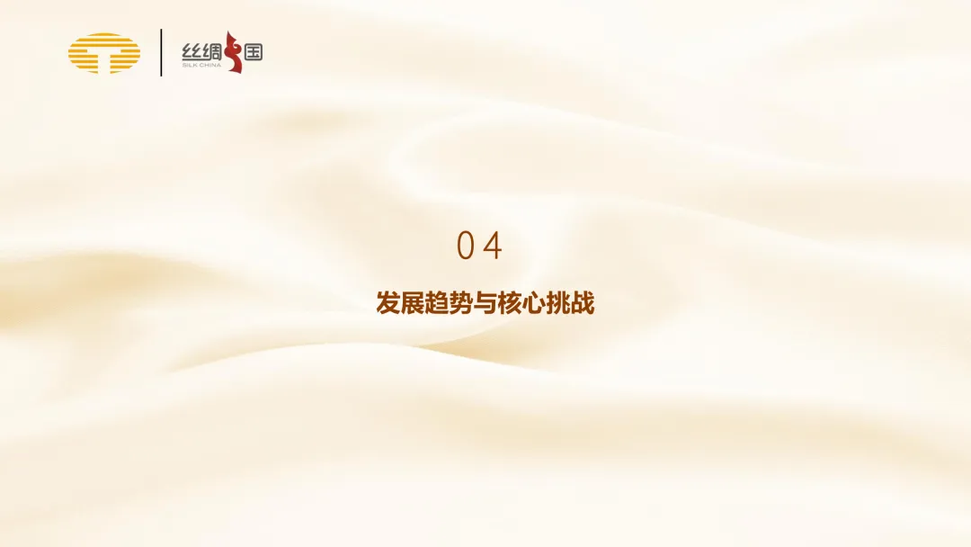 行业报告|中国蚕丝被市场分析简报(2025)