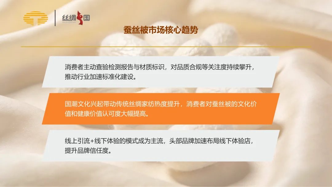 行业报告|中国蚕丝被市场分析简报(2025)