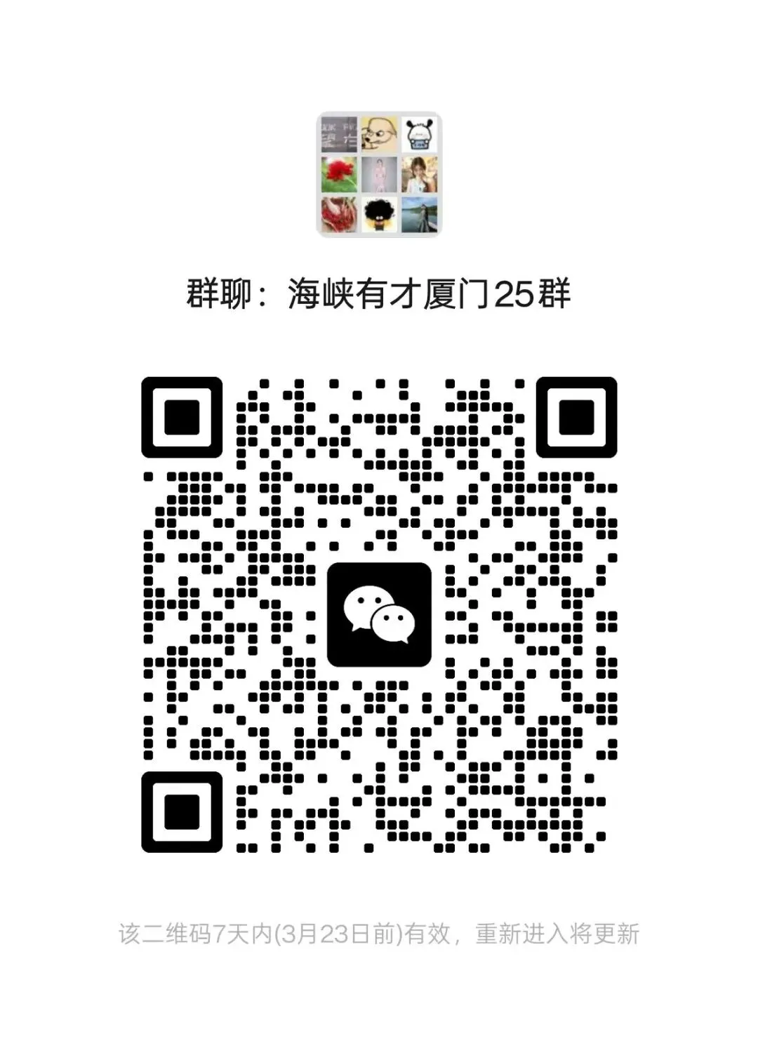 2026年中国海峡人才市场厦门工作部招聘见习生公告