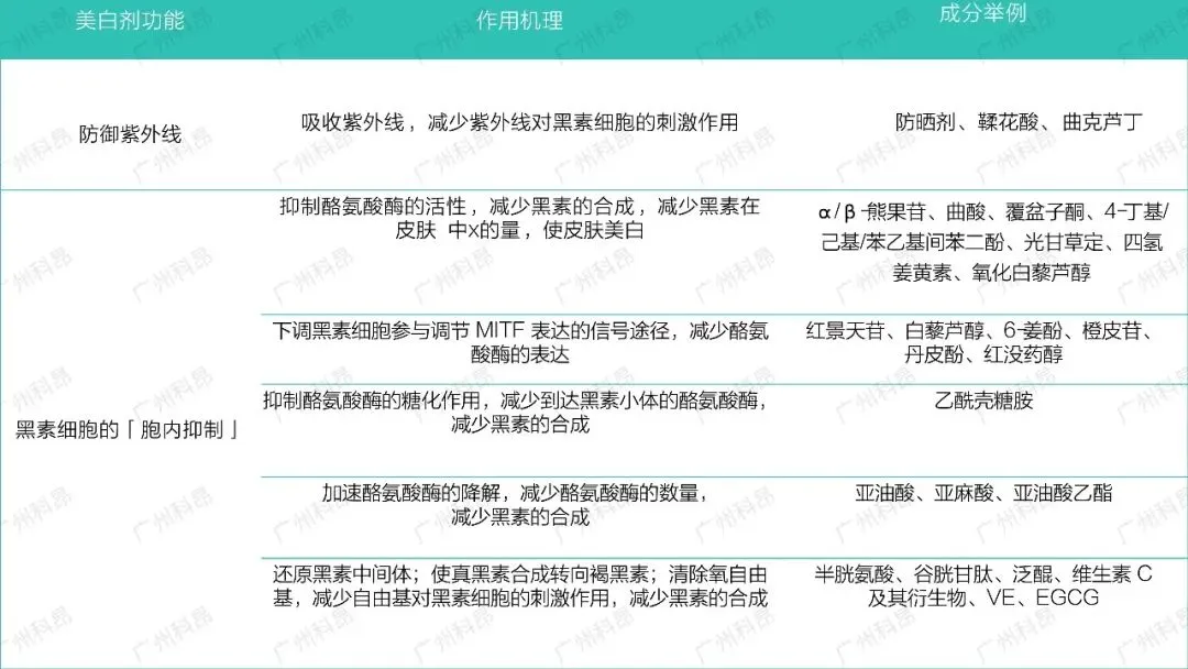 千亿美白市场陷入“深水区”,下一个破局点在哪?