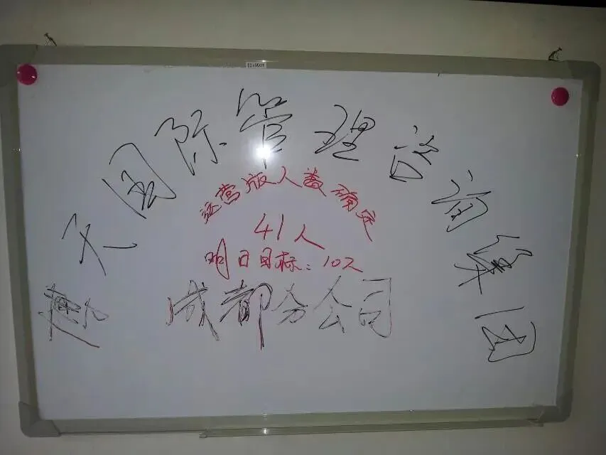 服务带动营销,她成为成都区域第一