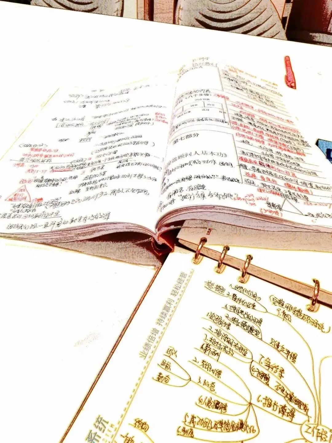 服务带动营销,她成为成都区域第一