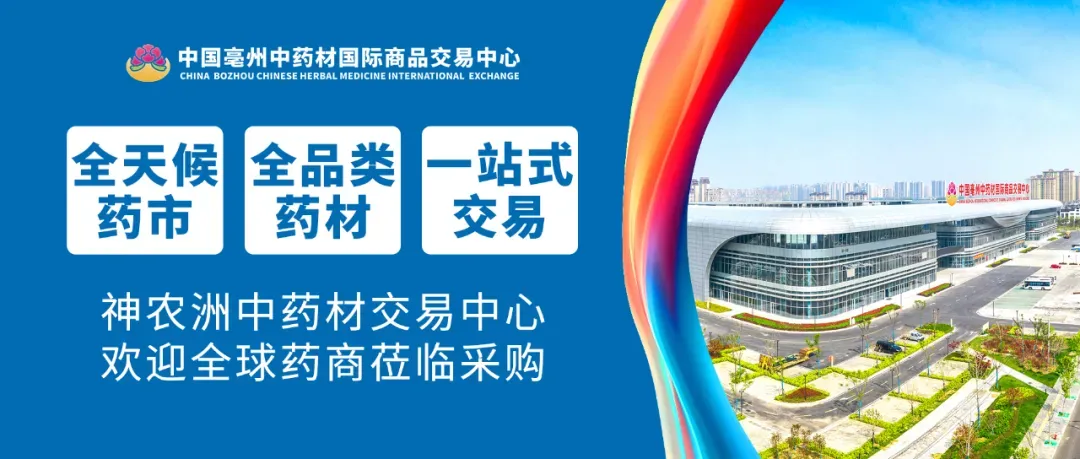 市场行情播报(第11期):白术、黄芩、丹参、银柴胡