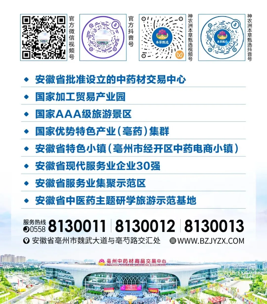 市场行情播报(第11期):白术、黄芩、丹参、银柴胡