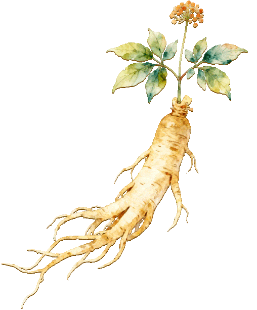 哈尔滨石油学院・计算机科学与技术|专升本热门专业全解析