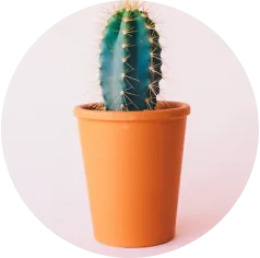 彭华 零售营销咨询实战专家