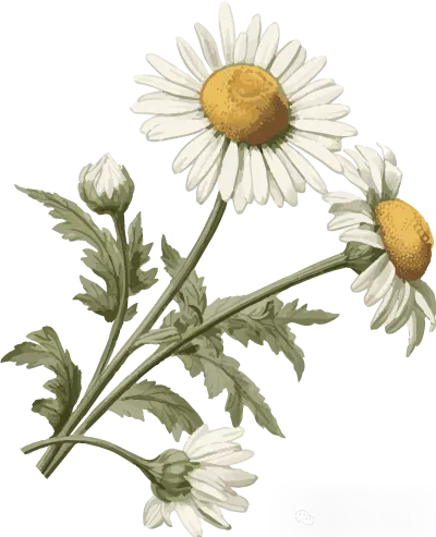 Twitter营销软件:强制互动+多账号并发!动态发帖+海量私信,主动轰炸式开发海外市场!