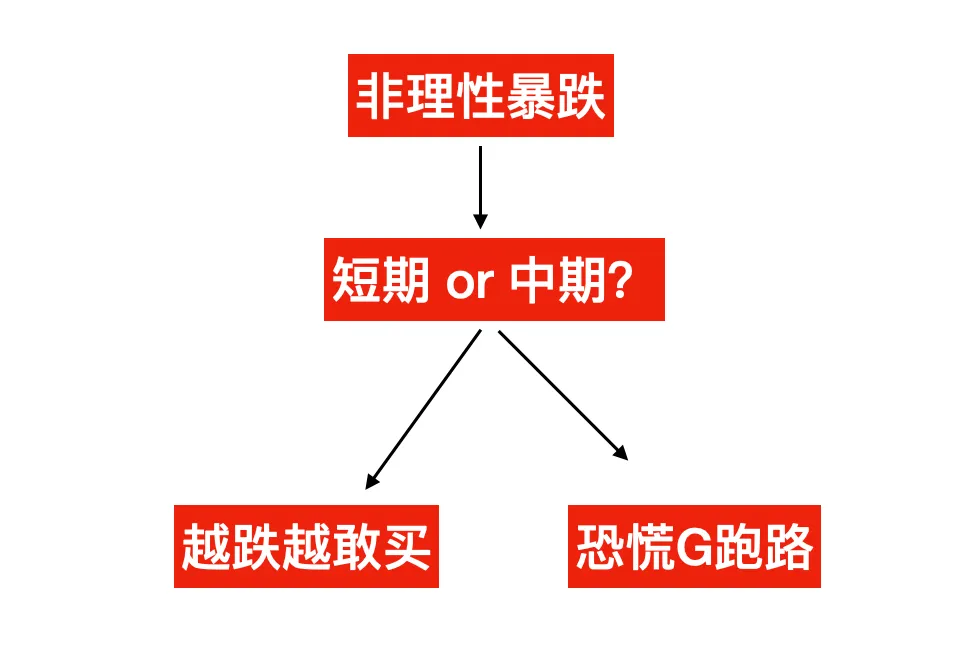 面对市场非理性爆跌,专业投资人应该如何应对?